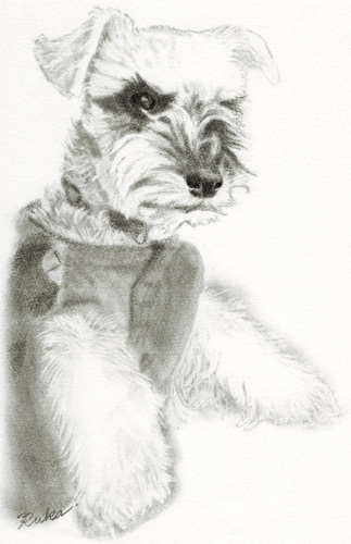 犬の鉛筆画 うちのタマ ペットの鉛筆画